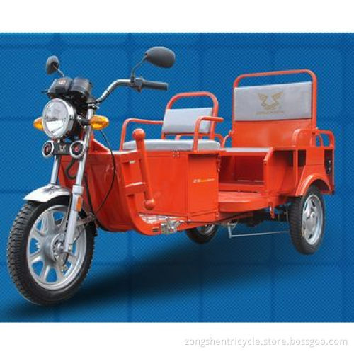 Hybrid Tricycle, 5-piece Battery and Charger